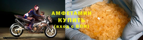 дживик Ельня