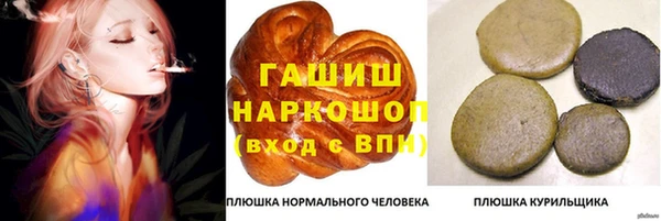 дживик Ельня