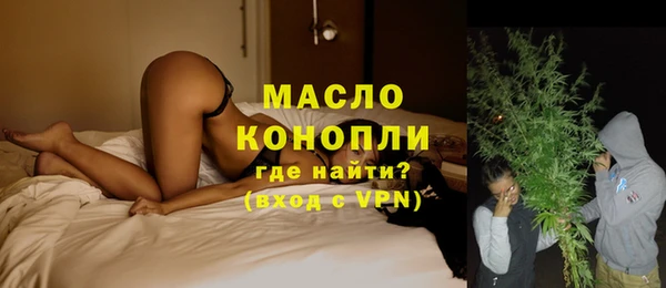 дживик Ельня