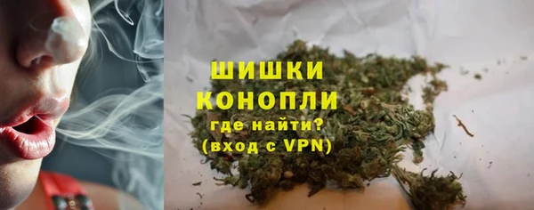 дживик Елабуга