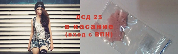 молекула духа Заволжье