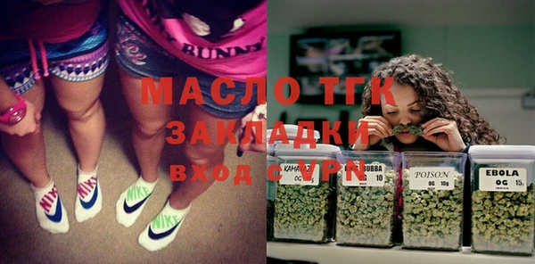 дживик Елабуга
