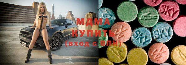 дживик Ельня