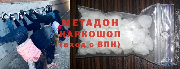 дживик Ельня
