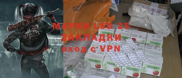 дживик Ельня