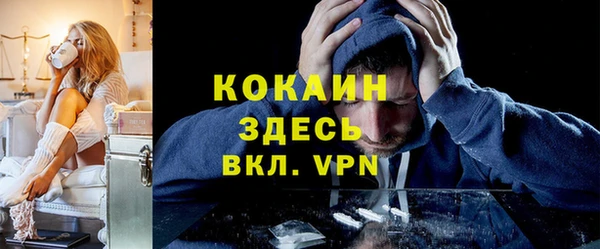 дживик Ельня