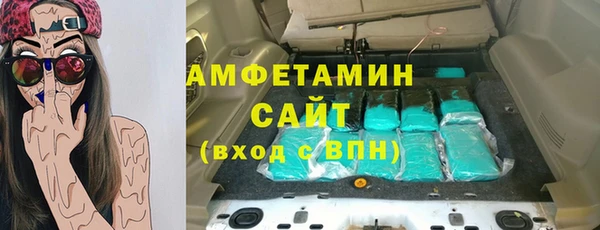 дживик Ельня